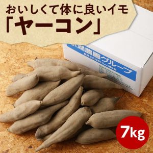 ヤーコン：究極のダイエット野菜としての秘密 – 栄養豊富でヘルシーな