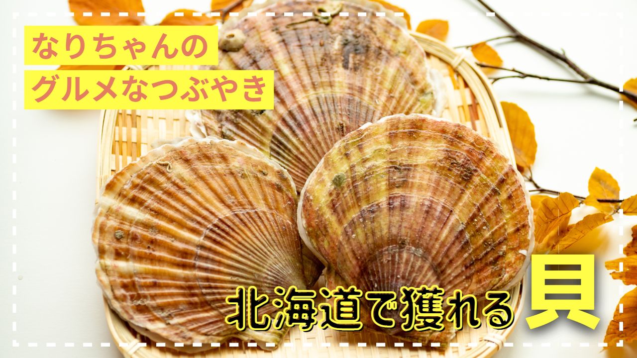 どれをとっても北海道で獲れる貝は最高！ | 食べレア北海道｜北海道の