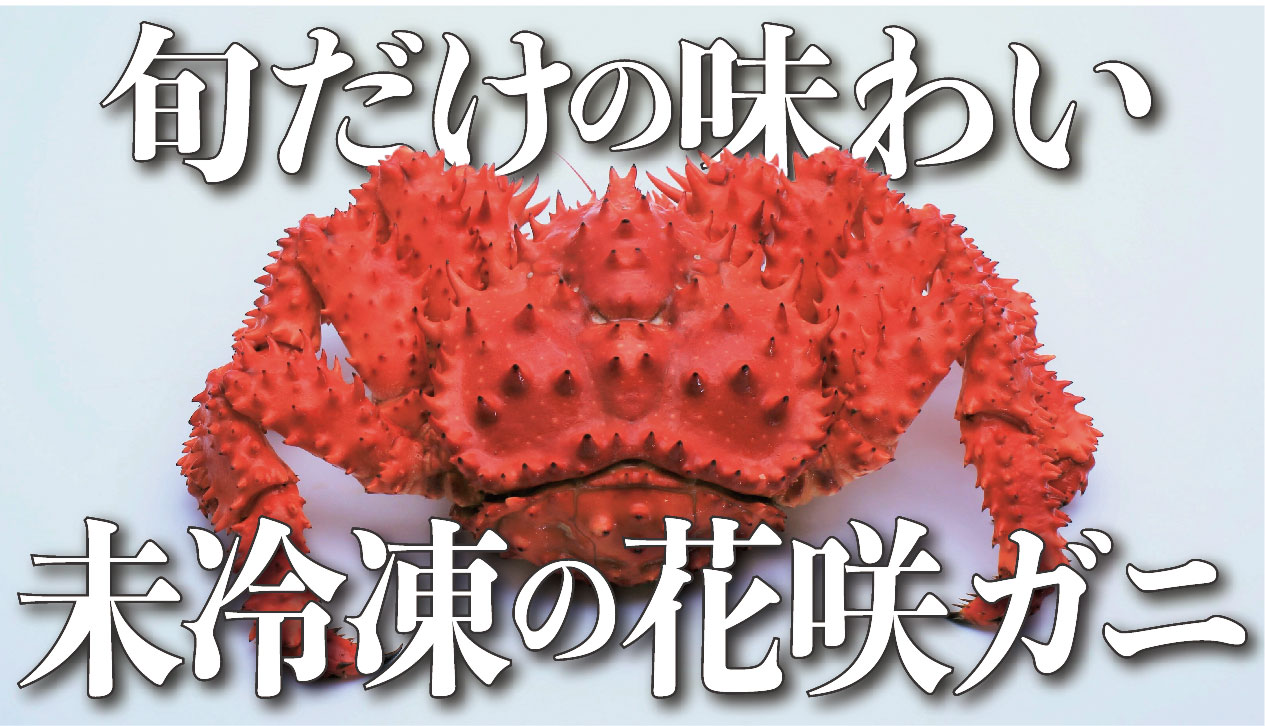 夏限定！未冷凍の花咲ガニは魅力が満載