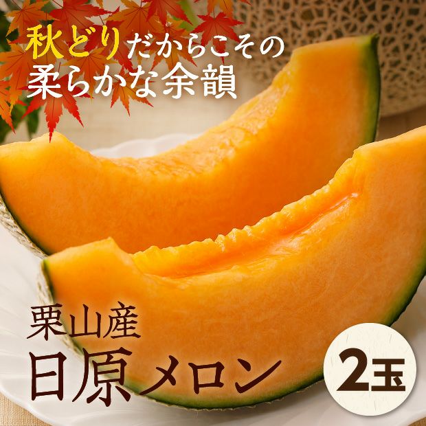 栗山産 日原メロン 秀品 約1.6kg・2玉