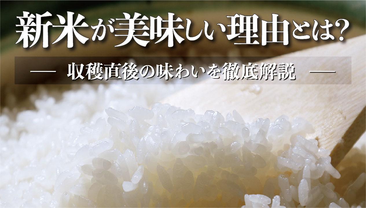 今年の新米、価格は安定する？天候不良や需要増加が影響 | 食べレア北海道｜北海道の食材お取り寄せ通販サイト