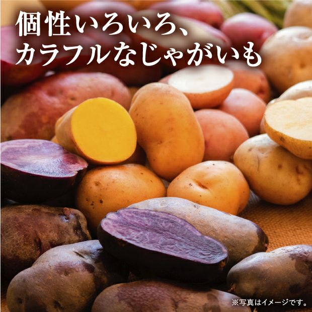 【食べレア限定】【数量限定】剣淵産 じゃがいも10種 食べ比べセット