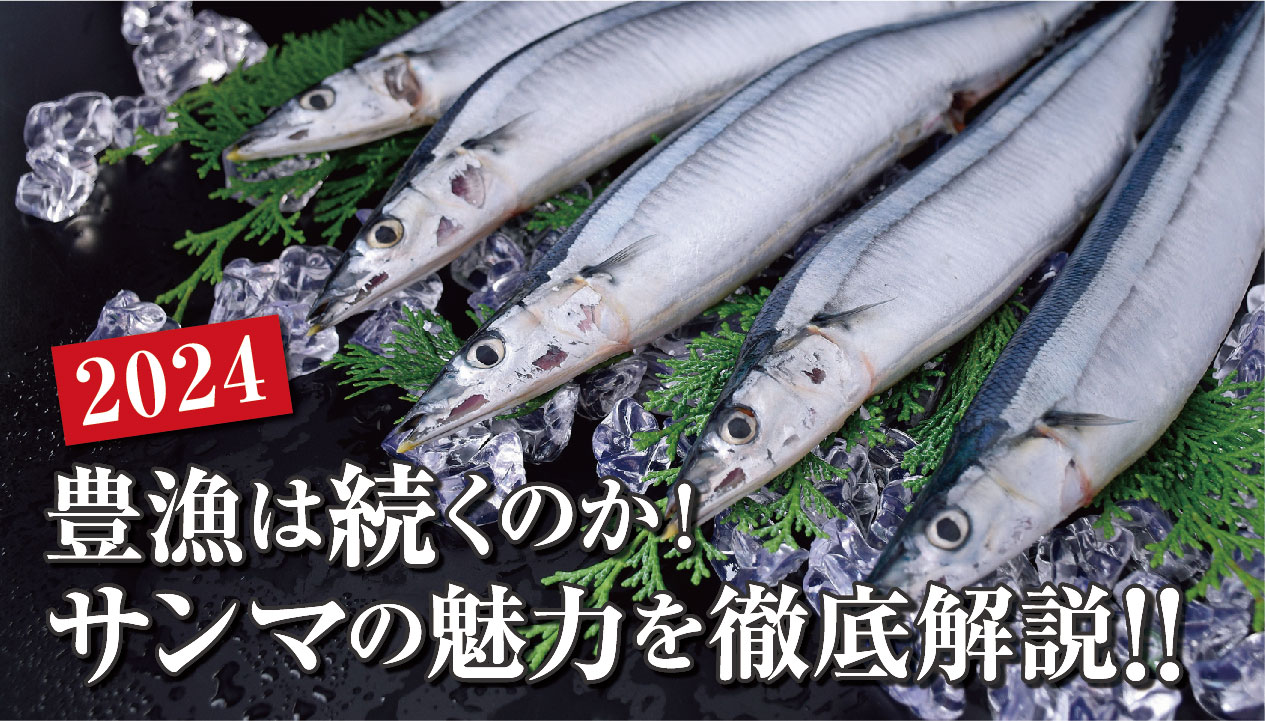 2024 今が旬！脂が乗った北海道サンマが復活！